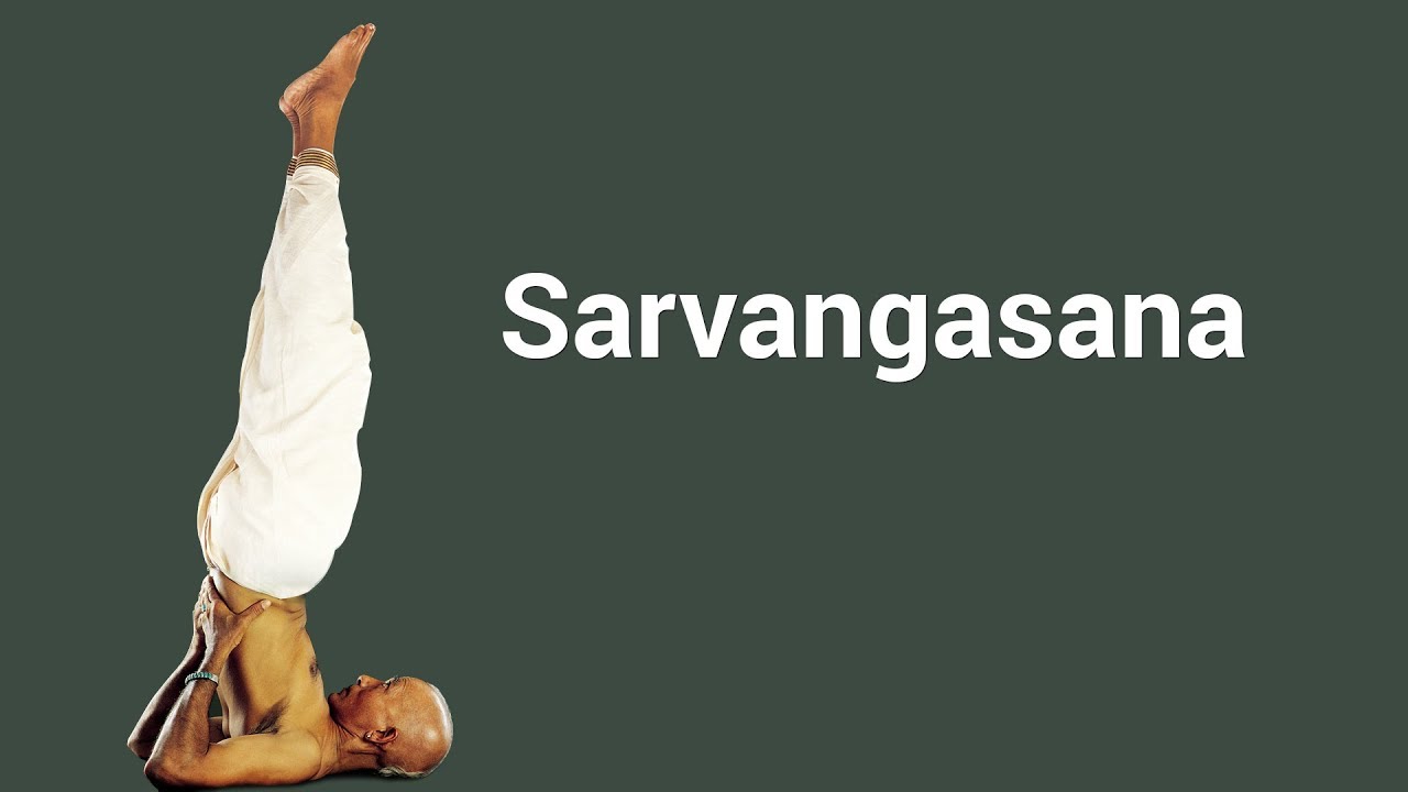 Sarvangasana - The Shoulder Stand exercise 14.1 class 11