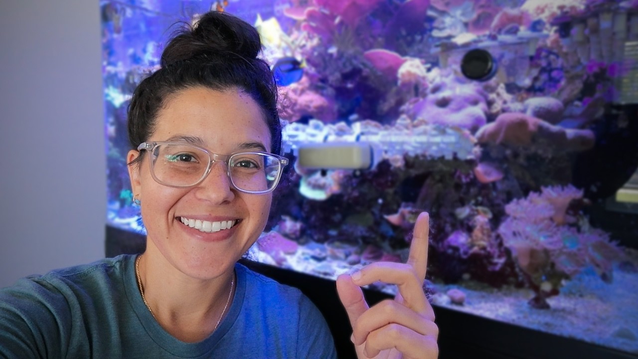 I Tracked EVERY Coral Sale for 8 Months…