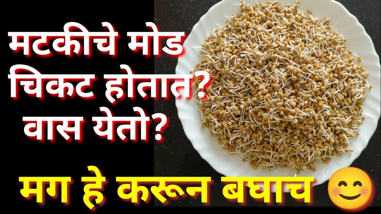 मटकी मोड / मटकीला वास न येता चिकट न होता मोड काढायची पद्धत/ सलाड साठी मटकी मोड /Sprout/झटपट मटकी मोड