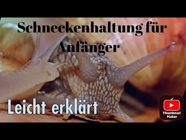 Warum Eignet Sich Trockeneis Ideal Zur Aufrechterha Produktbild-Vorschau 4