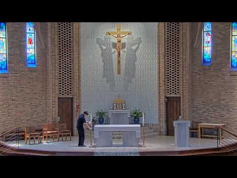 Sunday Mass - 11 AM - 06/29/2025