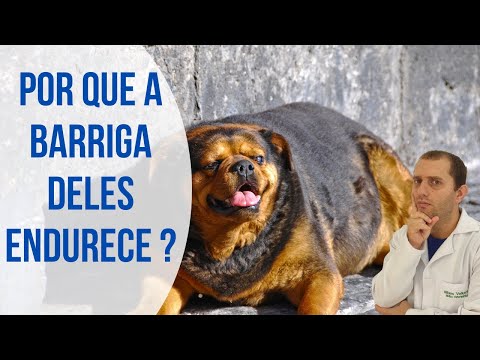 8 causas de