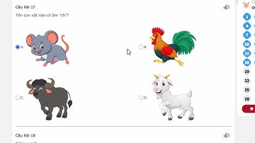 Trạng nguyên TV lớp 1 vòng 6 năm học 2025 - 2026