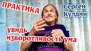 ПРАКТИКА: увидь изворотливость ума. Сергей Кулдин #КулдинПрактика