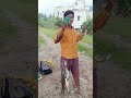 3 சாட் ரோகு மீன்