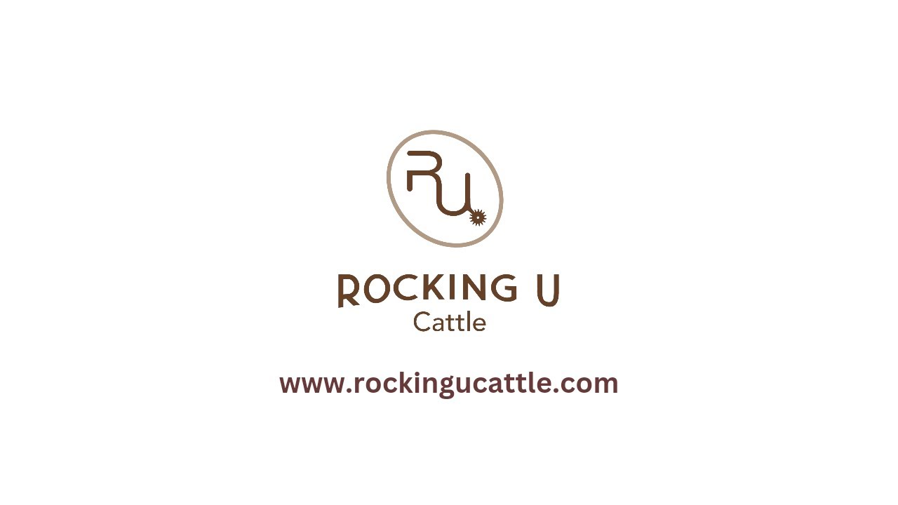 The Start of Rocking U - YouTube