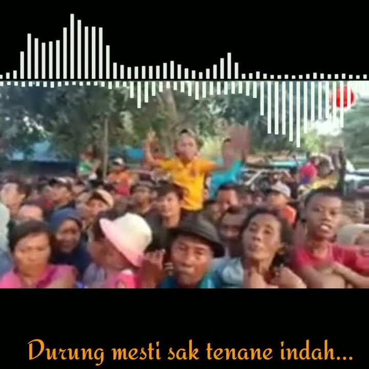 Story wa rela demi cinta jaranan