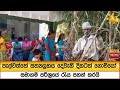 පැල්වත්තේ සත්‍යග්‍රහය දෙවැනි දිනටත් ගොවියෝ සමාගම් පරිශ්‍රයේ රැය පහන් කරයි - Hiru News