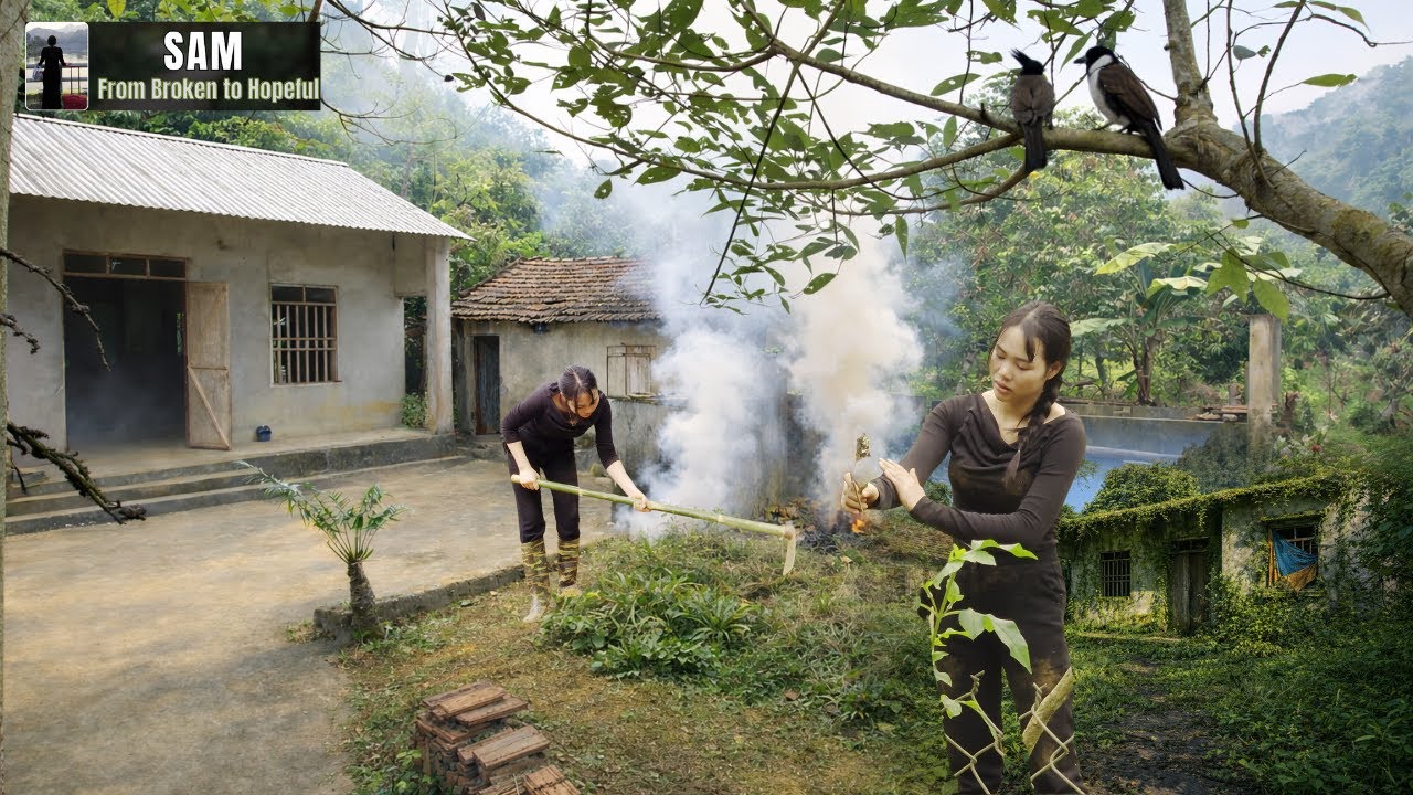 От городской жизни к заброшенному дому — я начинаю всё сначала одна