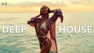 Deep Elegant - Summer Deep House Mix 2024 By Gentleman