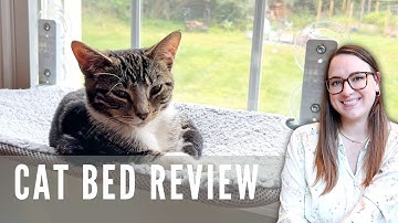 🐱This Foldable Cat Hammock Window Perch Creates a Cozy Space for Your Feline Friend🌞🪜🪟💤