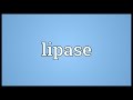 Lipase Meaning