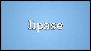 Lipase Meaning