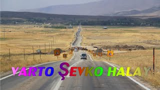 Şevko Halay 2019 Resimi