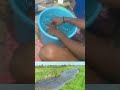 Water waves 🌊 sound #water #sound #watersounds #effects #sfx #telugu #shorts #viral #soundeffects