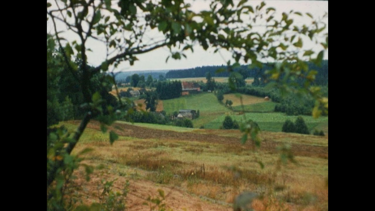 Gimnazjum nr 11  w Toruniu - rajd - Czarny Bryńsk