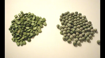 Do split peas need to be cooked?