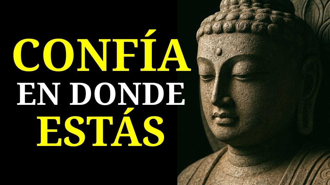 (SIN ANUNCIOS) Duérmete Con Enseñanzas Budistas Que Te Recuerdan: Está Bien Sentirse Perdido