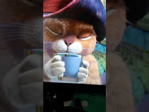 Puss I boots
