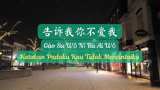 Gao Su Wo Ni Bu Ai Wo《告诉我你不爱我》【Lagu Mandarin】Steve Chou / Xiao Gang [Indo/Pinyin Lyric & terjemahan]