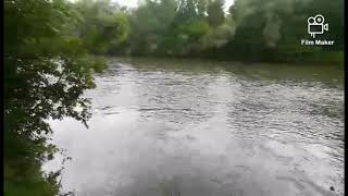 Birds Singing By The River Mura