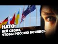 НАТО: бей своих, чтобы Россию боялись