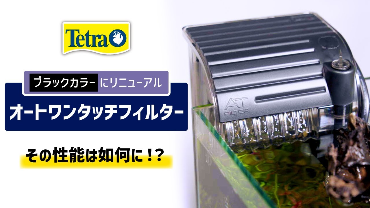 日本アクアリウム界シェアNO 1 テトラ外掛けフィルターがリニューアル！いったいどこが変わったの？静穏性は？【テトラ オートワンタッチフィルター AT  20 レビュー】