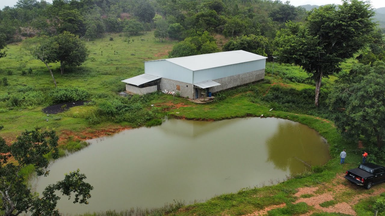 Fazenda 212 ha Itiquira MT | VR Negócios Imobiliários | Creci MT 3909