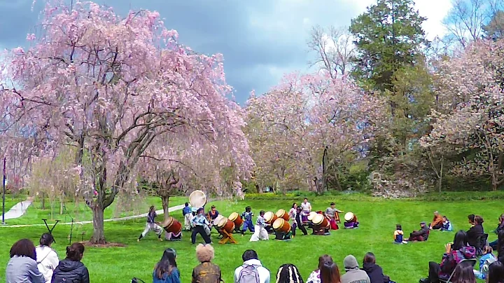 Swarthmore Taiko Ensemble - Omiyage (Swat CBF 4-17...