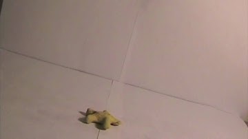 Return of the Black Blob