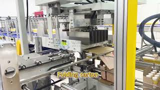 Horizontal Side-Load Case Packer (All-in-One system)