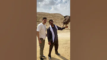 فهد البطل ملكه العقبان ف مصر شمس نبوي مصر 