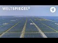 Energiewende in China: Plötzlich Vorreiter beim Klimaschutz? | Weltspiegel