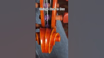 How to Position Violin Strings to Pegs. The  E & A strings close to the right side box.