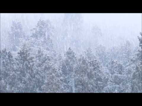 3月1日の雪風景 まぁ　良く降る　夜には大雨だし