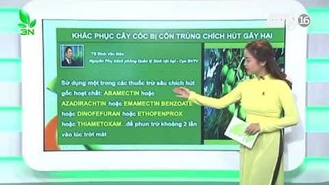 Cây cóc bị xoăn lá, bạc lá thì khắc phục thế nào?