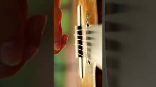 حالات واتس اب عزف موسيقى جيتار_Playing guitar