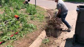 Neighbors told me this person died and nobody has been taking care of this lawn by Josh's lawn service 332,880 views 1 year ago 12 minutes, 12 seconds