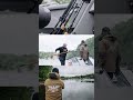 Game Changing Tournament Day Fish | Fenwick Pro John Hoyer #fenwickfishing #walleyefishing #walleye