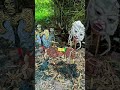 Outdoorfood U Are So Kind My Brother Share Food In Forest #survival #camping #forest #outdoor