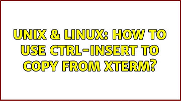 Unix & Linux: How to use Ctrl-Insert to copy from XTerm? (2 Solutions!!)