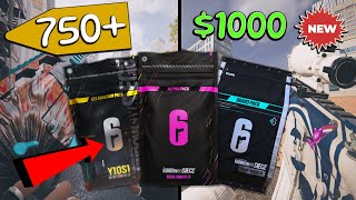 $1,000 Worth of Celebration Packs (NEW)