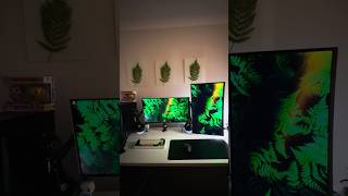 Dual Monitor Setup