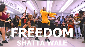 Shatta Wale - Freedom | Meka Oku Afro Dance Choreography