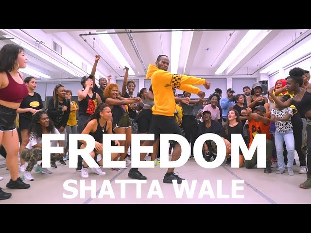 Shatta Wale - Freedom | Meka Oku Afro Dance Choreography class=