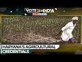 Indian elections 2024 | Haryana: India&#39;s agricultural hub | WION