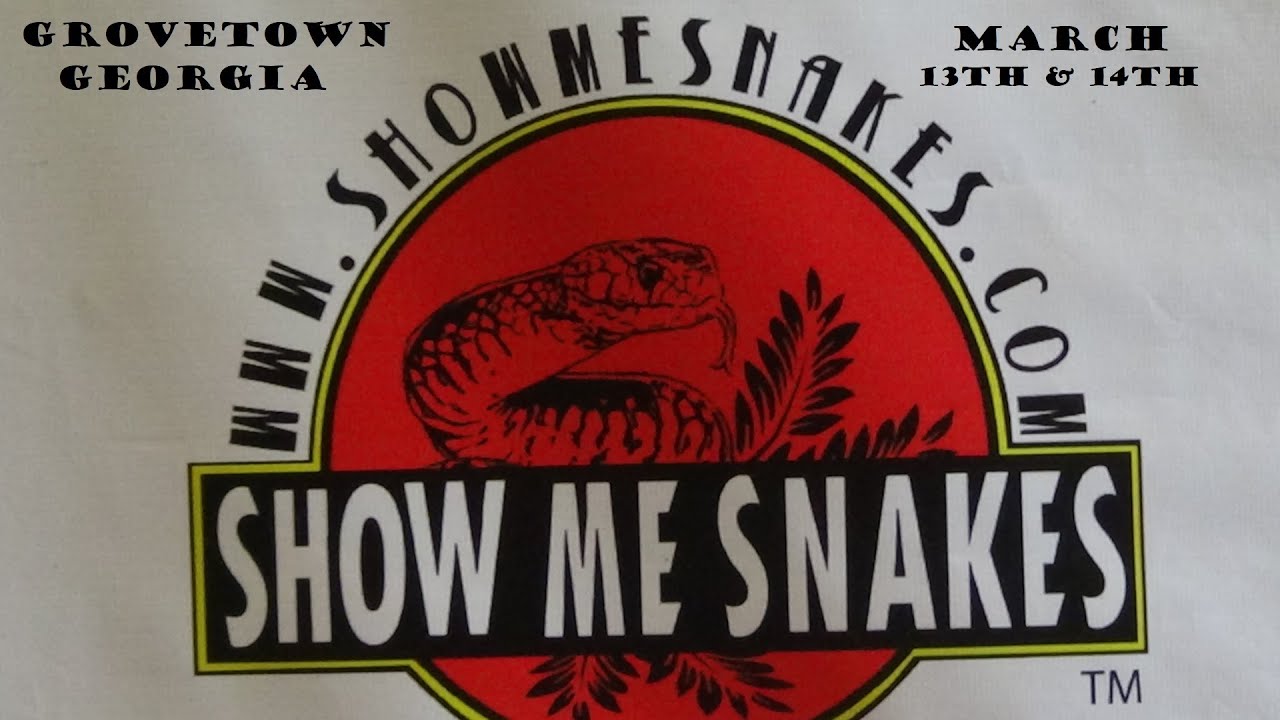 Show Me Snakes and Exotics Show (Grovetown, Ga) - YouTube