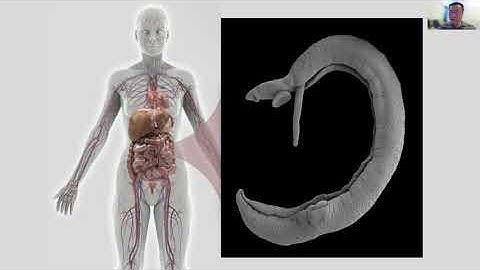 2017 BYI Bo Wang, PhD