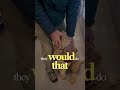 If your dog is itchy all the time you should check this video