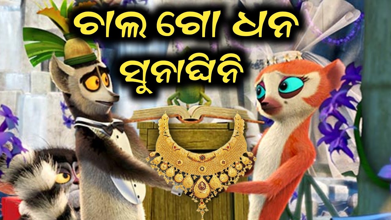 ଚାଲ ଗୋ ଧନ ସୁନାଘିନି | sambalpuri comedy |dd koshal